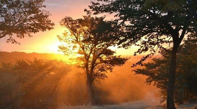 Private Guided Tour of Victoria Falls Zimbabwe