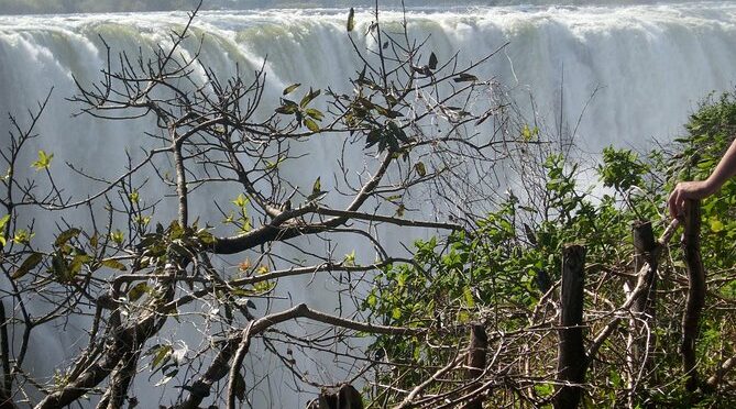 Guided Tour Of The Victoria Falls