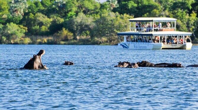 Zambezi Sunset Cruise in Victoria Falls