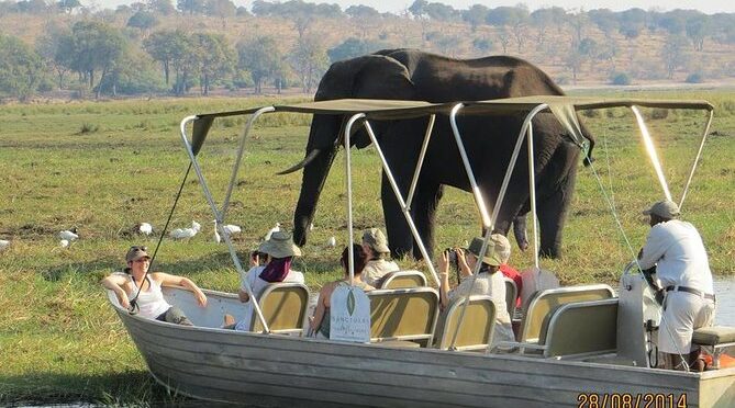 Chobe Day Trip From Victoria Falls Zimbabwe