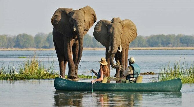 Discover Victoria Falls