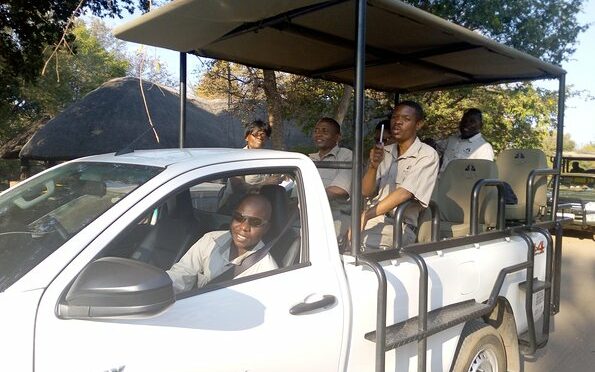 Game Drive in Zimbabwe