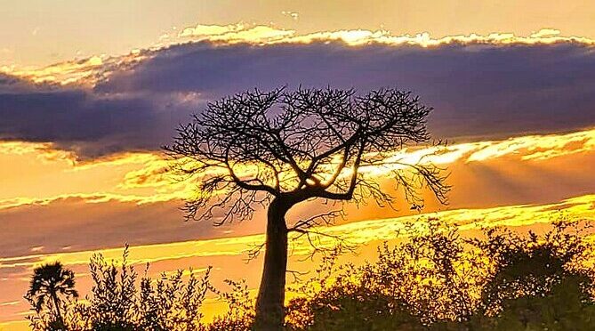 Unique Zambezi/Chamabondo 4×4 Safaris *GB-F-D-ES