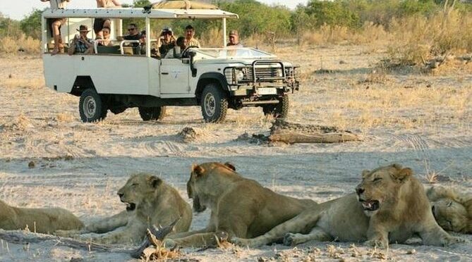 2-Day Chobe National Park Camping Safari