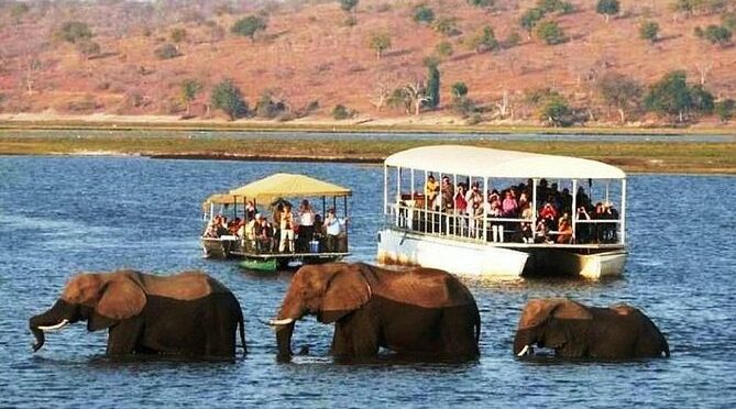 Chobe Full Day Trip