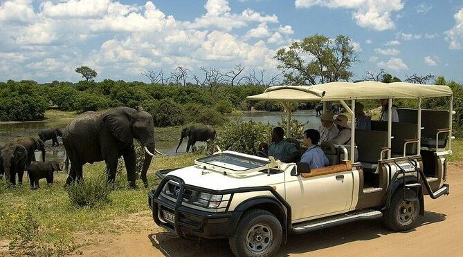 Safari Pass (Zimbabwe)