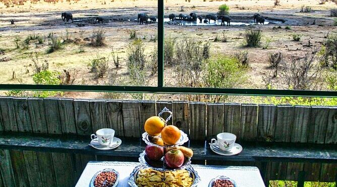 Tea in the Savannah Experience+ 4×4 Safari Game Drive *D-GB-ES-F