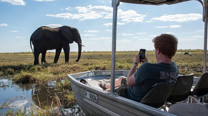 From Livingstone, Victoria Falls, Kasane: One Day & Overnight Chobe Safari