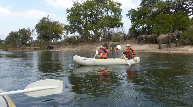 Canoeing with Wildlife Sightings