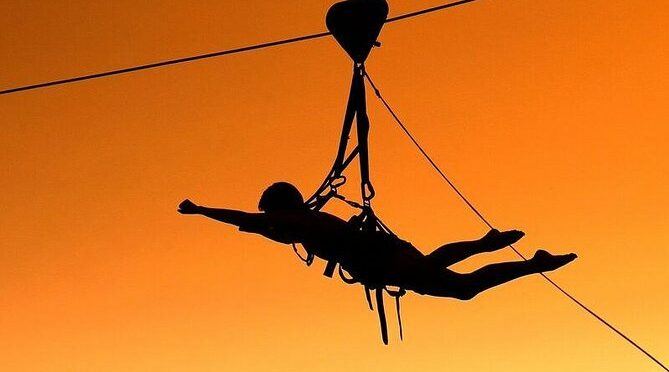 Flying Fox (Zimbabwe)