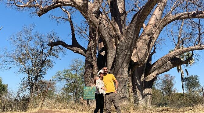 Vic Falls, Hwange, Matopos, Great Zimbabwe, Harare 4Day Tour