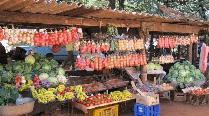 Chinotimba Township Tour (Zimbabwe)