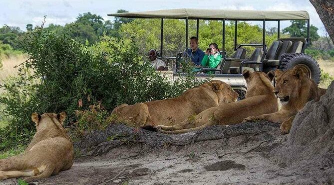 Chobe Full Day Trip From Victoria Falls