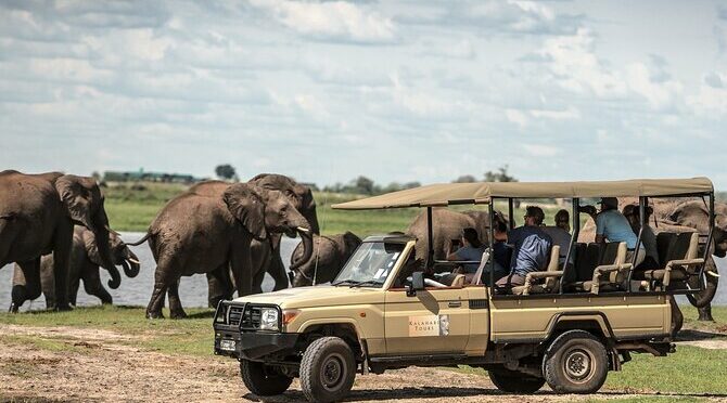 Chobe Day Trip, Botswana Ex Victoria falls or Livingstone