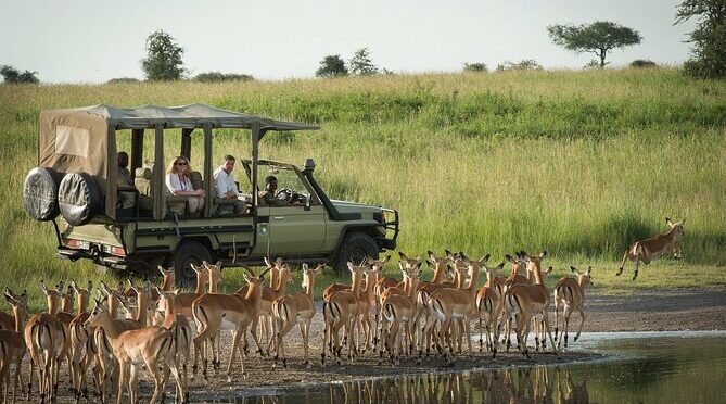 Hwange Park Big 5 Game Drive!