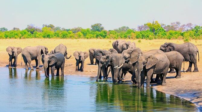 3 Day Victoria Falls Zambezi National Park Budget Safari Tour