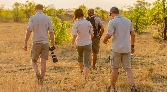 Walking Safari – River Wild Safaris