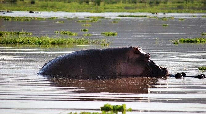 Adventurous Zimbabwe and Botswana Safari
