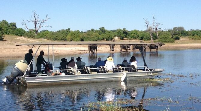 Chobe Full Day Trip
