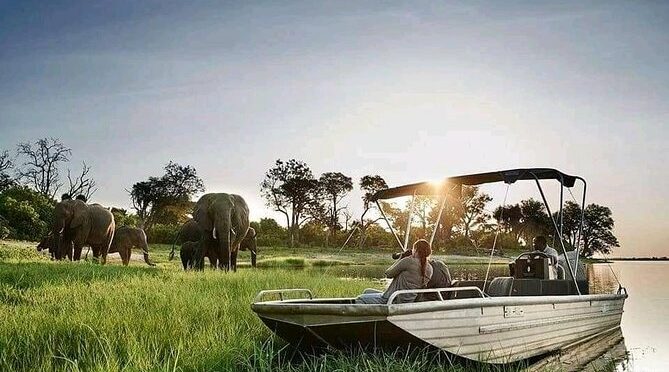 Zambezi Sundowner Cruise, Victoria Falls Zimbabwe