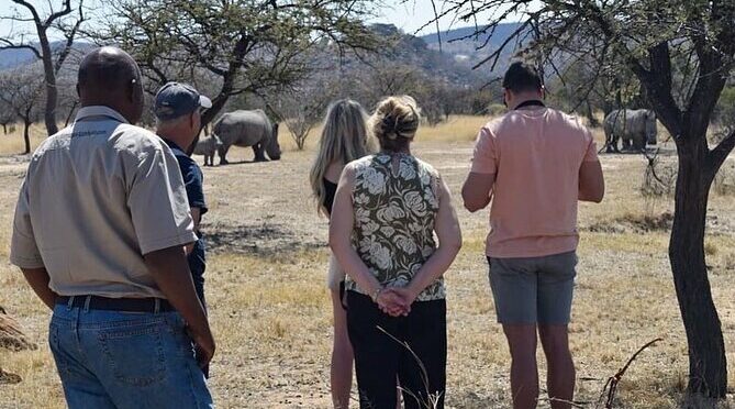 Matobo Rhino Encounter