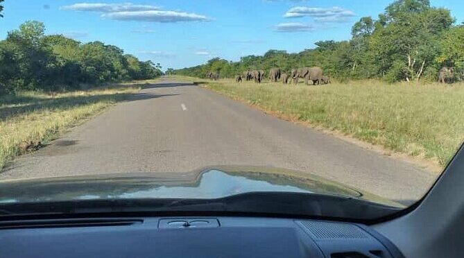 Airport, Hotel and local transfers in Victoria Falls