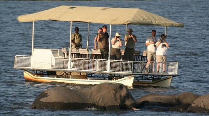 Chobe Full Day Experience