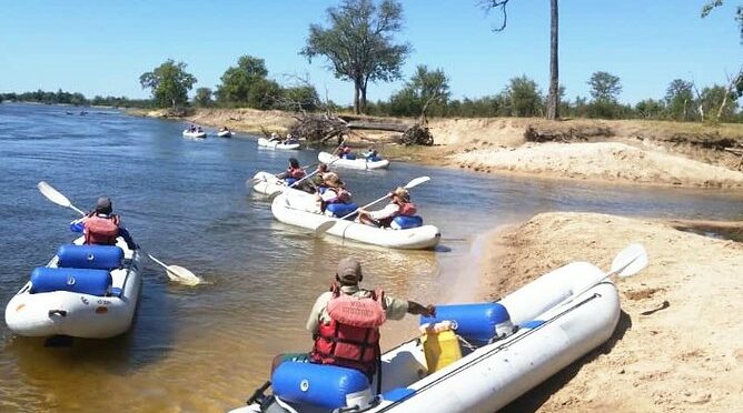 Canoeing Upper Zambezi 1 Day – River Wild Safaris
