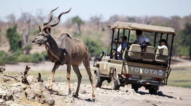 6-day Hwange, Chobe & Victoria Falls Combo
