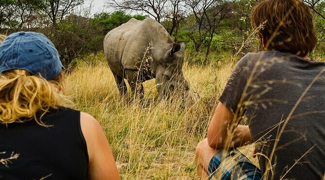 Matopos & Great Zimbabwe Ruins/ 2 Days Tour !