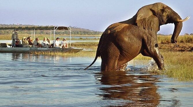 Full Day Chobe Trip – Botswana