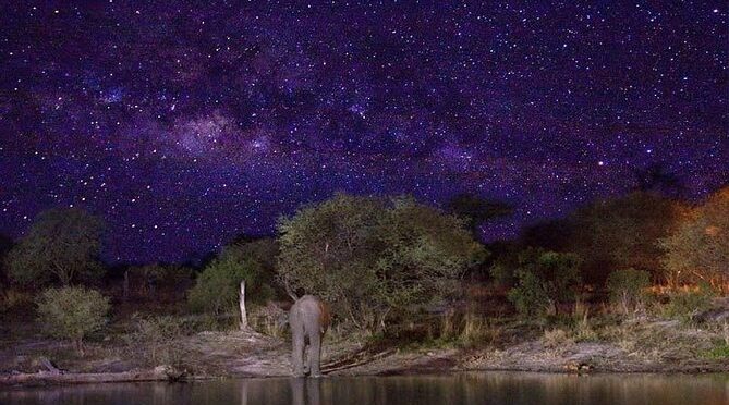 Stargazing on The Wilderness (Harare Night’s Tour)