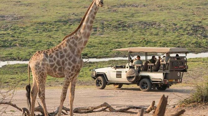 Southern African Photography Safaris and Experiences