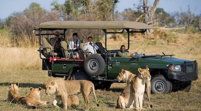 Chobe Sunrise upto Sunset Day trip from Victoria Falls 5AM – 7PM