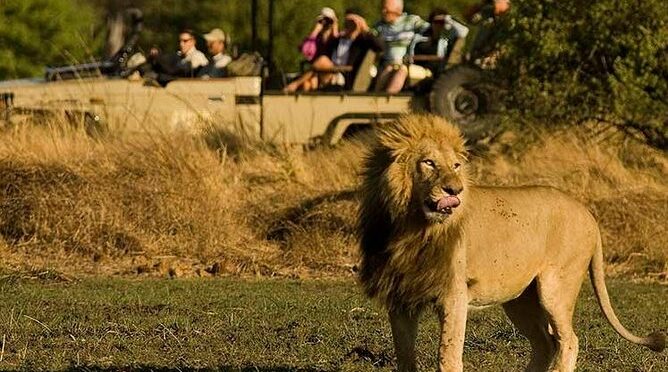 Five-Day Hwange NP, Chobe NP and Victoria Falls Combo