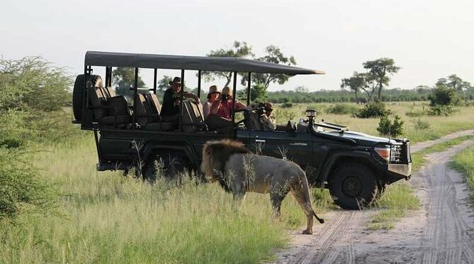 2-Day Chobe Park Safari Tour with Overnight at Victoria Falls