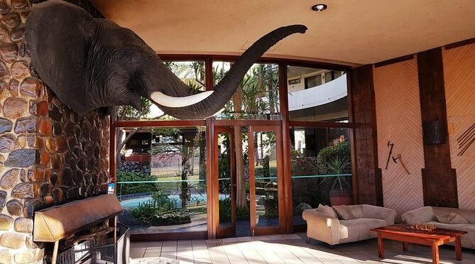 Hwange 3 day Safari