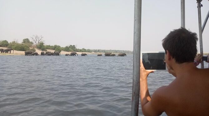 Chobe Full Day Trip