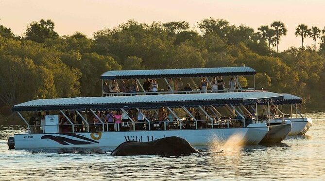 Sundowner Cruise on Zambezi River (Zimbabwe)