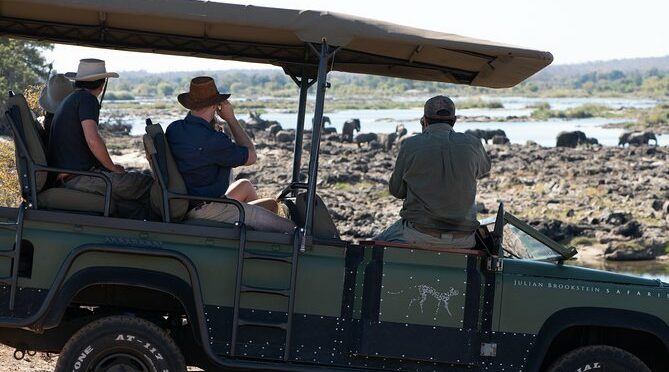 Morning Game Drive & Walking Safari