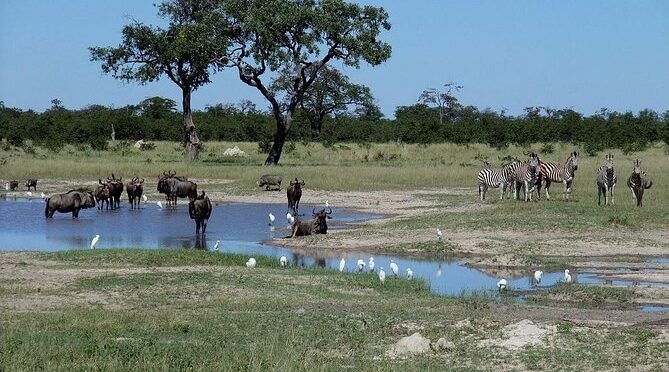 3 Day Chobe National Park Camping Tour