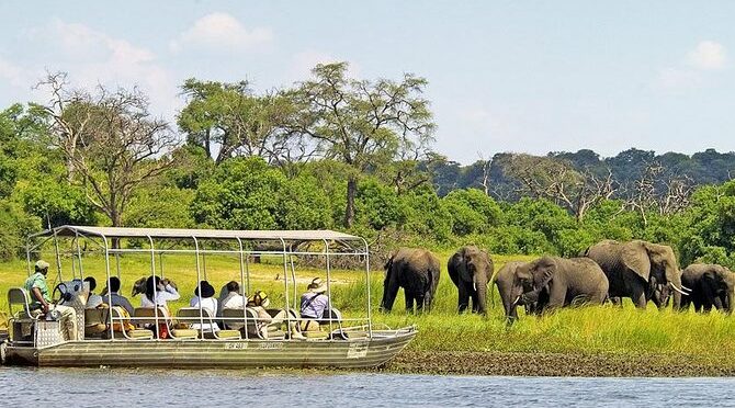Explore Chobe National Park With a Day Trip from Victoria Falls