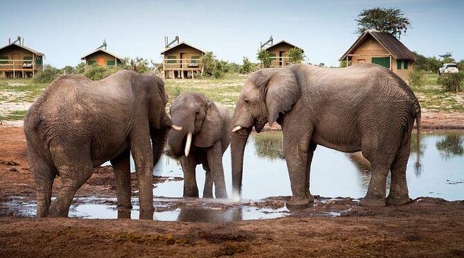 7 Day Highlights Of Botswana Overland Tour – ACCOMODATED (midrange)