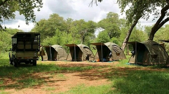 2 Nights Camping safari in Hwange National Park