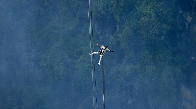 Flying Fox