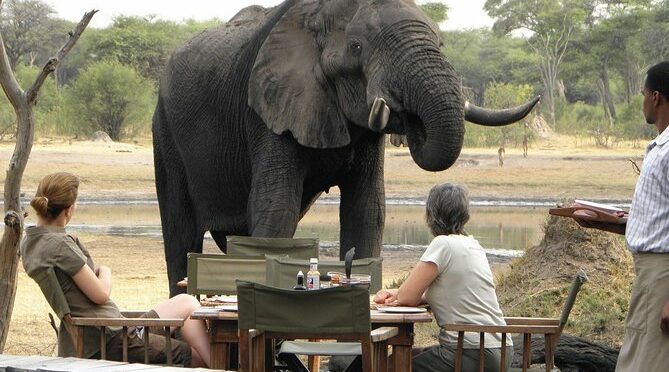 Hwange Full Day Safari