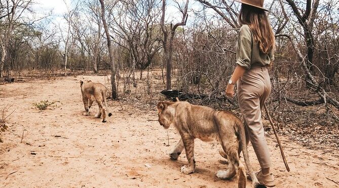Volunteering with Lions