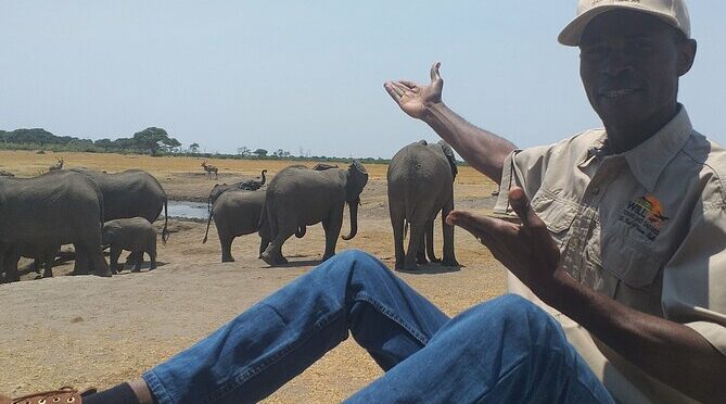 Hwange National Park Full Day Trip