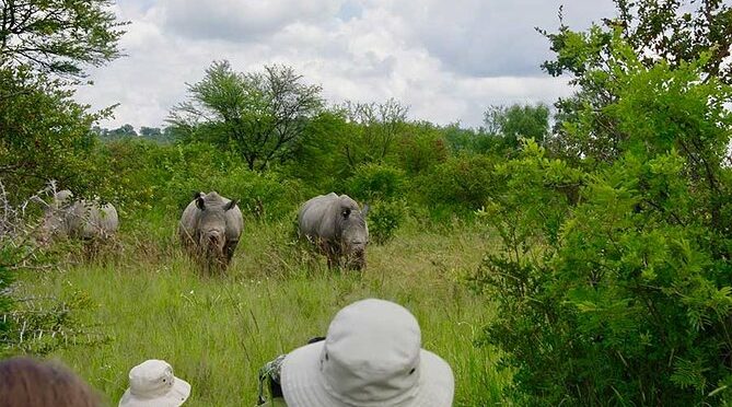 10 Day Zimbabwe and Chobe NP Tour