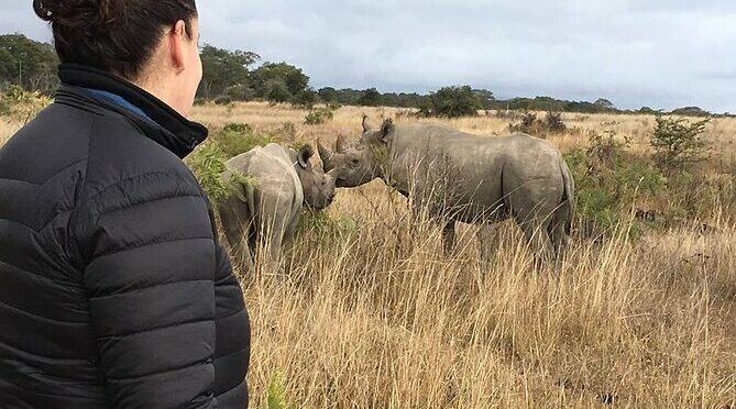 Matopos to Hwange National Park & Victoria Falls Drop Off!